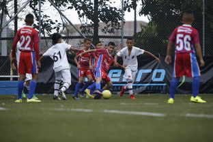 九游娱乐入口-中国足球青训成果展示会在多地举办，中国足球青训比赛